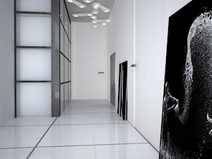 Aranżacja nowoczesnego korytarza z ciekawą grafik - zdjęcie od jms STUDIO s.c.