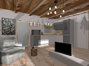 Salon z kuchnią - zdjęcie od BOPROJEKT Pracownia Projektowa