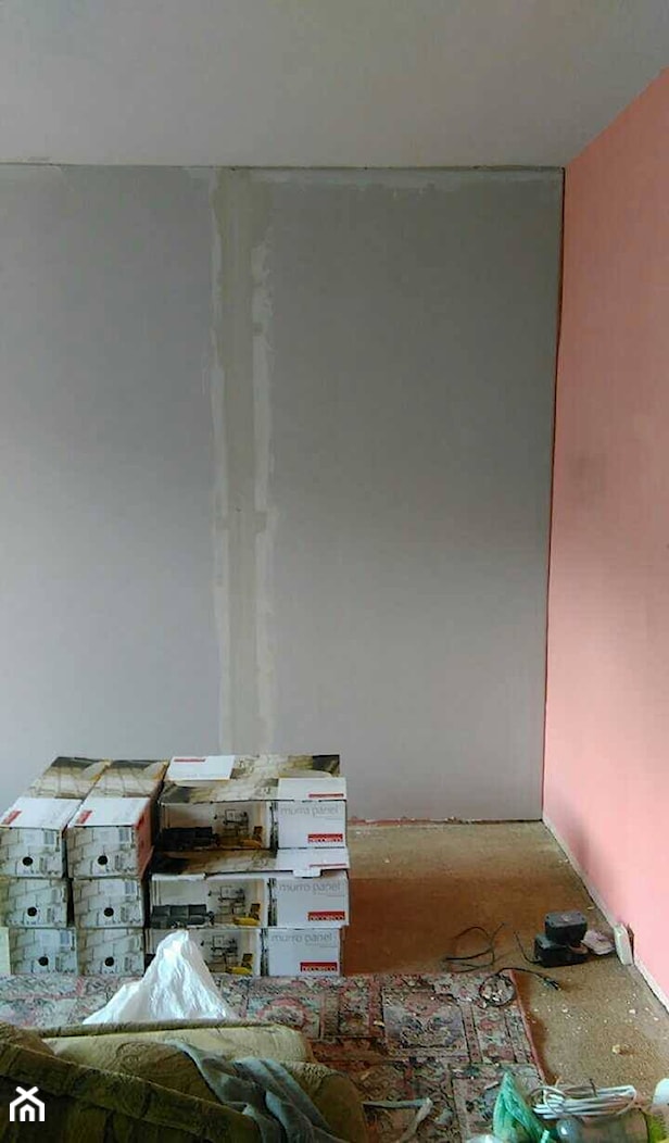 Wyrównujemy ścianę w salonie - zdjęcie od Puchatka - Homebook