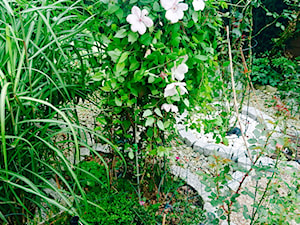 Ogrod - Ogród, styl tradycyjny - zdjęcie od Jola WK