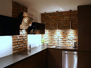 Lico klasyczne w kuchni - zdjęcie od Retrocegla.pl