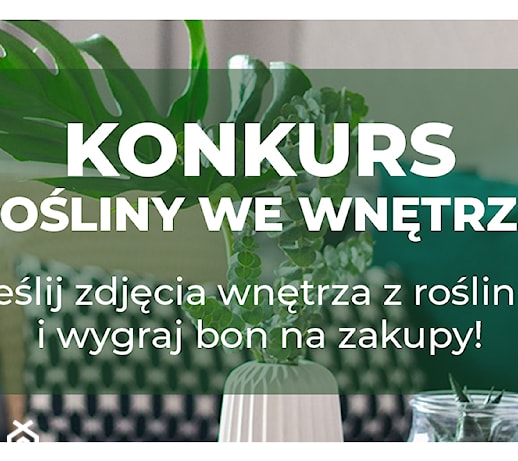 Nowy Konkurs - Rośliny we wnętrzu