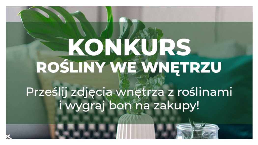 zdjęcie główne profilu