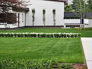 OGRÓD PRZYDOMOWY W WARSZAWIE - Duży ogród za domem, styl nowoczesny - zdjęcie od Line Design