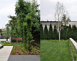OGRÓD PRZYDOMOWY W WARSZAWIE - Duży ogród za domem, styl nowoczesny - zdjęcie od Line Design - Homebook