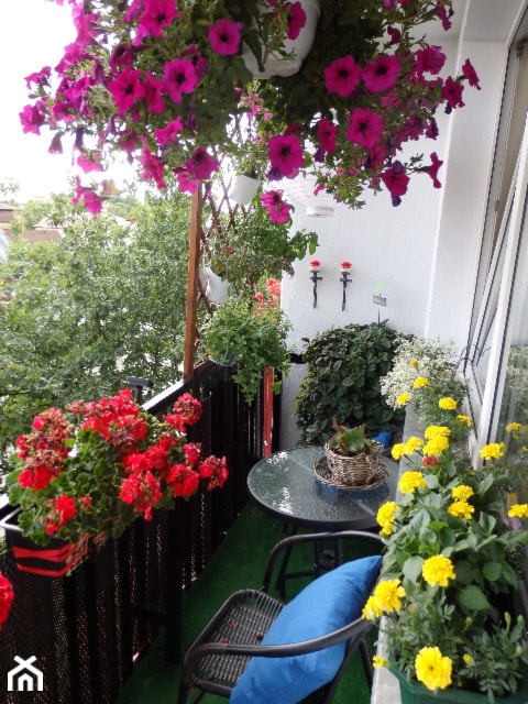 Mały ogródek na balkonie. Znalazło się miejsce zarówno na odpoczynek jak i kącik na uprawę ziółek. Odrestaurowana skrzynia mieści narzędzia i materiały do uprawy roślin, a przy okazji stanowi siedzisk - zdjęcie od ZaIlona - Homebook
