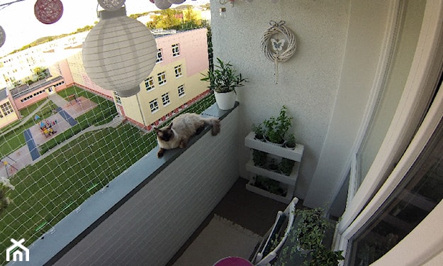 siatka dla kota na balkonie