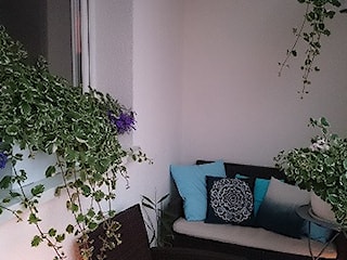 #pieknybalkon 