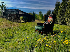 Fotel Uszak w otoczeniu przyrody - zdjęcie od Green Valley Meble Premium