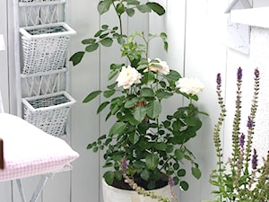 Działka - Mały z donicami na kwiaty taras z przodu domu z tyłu domu - zdjęcie od Joanna Bryk - My little white home
