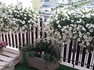 #pieknybalkon