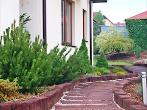 Ogród, styl tradycyjny - zdjęcie od Mdesign
