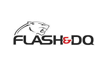 Flash&DQ