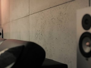 Salon, styl minimalistyczny - zdjęcie od B-loft beton dekoracyjny