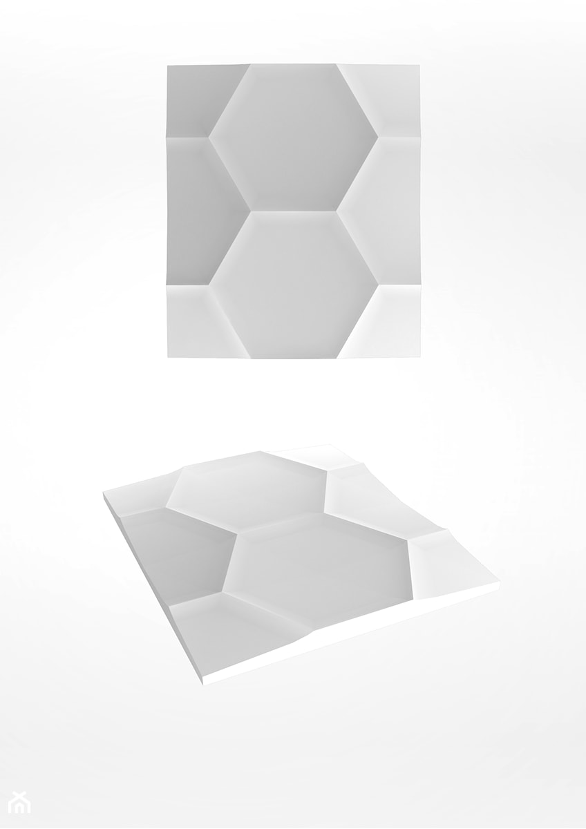 Hexagon - zdjęcie od Artpanel.pl