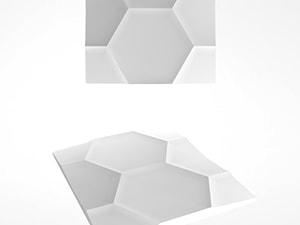 Hexagon - zdjęcie od Artpanel.pl
