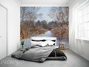 Zimowe trzciny - zdjęcie od Viewgo