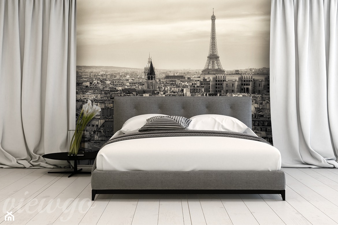 Niebo nad Paryżem - zdjęcie od Viewgo - Homebook