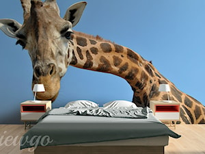 Ciekawska żyrafa - zdjęcie od Viewgo