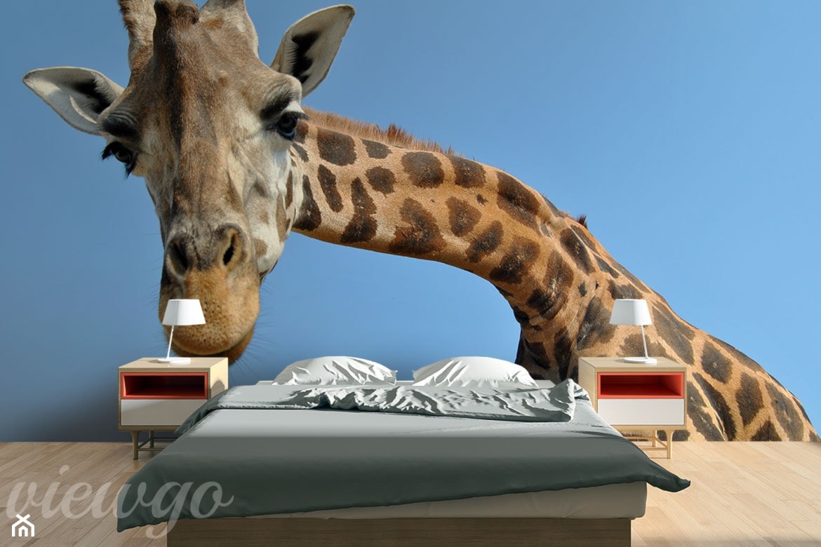 Ciekawska żyrafa - zdjęcie od Viewgo - Homebook