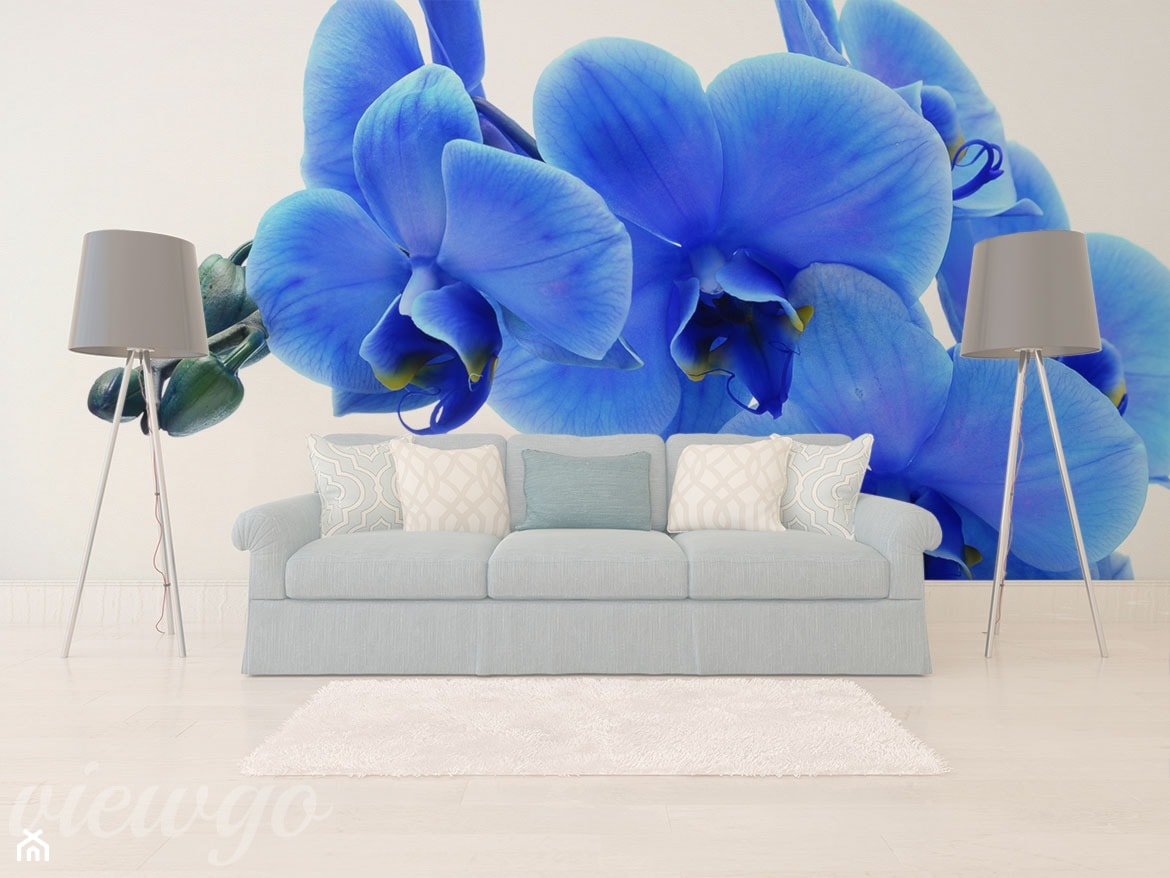 W śnie niebieskiej orchidei - zdjęcie od Viewgo - Homebook