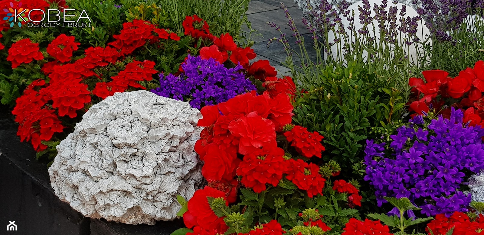 Dekoracje i ozdoby do ogrodu-taras -patio-balkon-Kobea Ogrody i Bruki - zdjęcie od Ewa Tyrna - Homebook