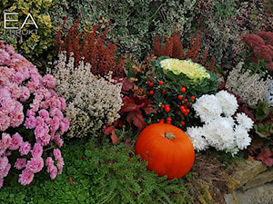 Jesienne dekoracje do ogrodu -Kobea Ogrody i Bruki