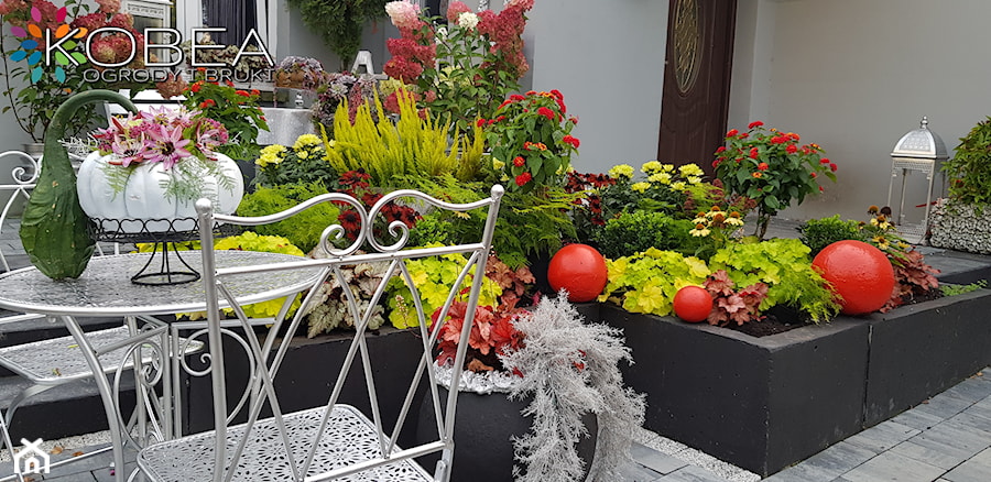 Jesień w ogrodzie dekoracje i ozdoby do ogrodu Kobea Ogrody i Bruki -dekoracje i ozdoby do ogrodu balkon#taras#patio# #kobeaogrodyibruki#dekoracjedoogrodu#dekoracje#ozdoby#ogród#gardendecoration#garde - zdjęcie od Ewa Tyrna