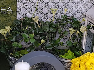 Jesienne dekoracje ozdoby do ogrodu -Kobea Ogrody i Bruki -produkcja i sprzedaż - zdjęcie od Ewa Tyrna