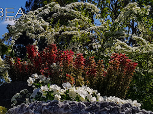 Dekoracje i ozdoby do ogrodu -Kobea Ogrody i Bruki - zdjęcie od Ewa Tyrna