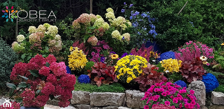 Jesienne dekoracje ozdoby do ogrodu -Kobea Ogrody i Bruki -produkcja i sprzedaż - zdjęcie od Ewa Tyrna