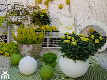 Aranżacje wnętrz - Ogród: Jesień w ogrodzie dekoracje i ozdoby do ogrodu Kobea Ogrody i Bruki -dekoracje i ozdoby do ogrodu balkon#taras#patio# #kobeaogrodyibruki#dekoracjedoogrodu#dekoracje#ozdoby#ogród#gardendecoration#garde - Ewa Tyrna. Przeglądaj, dodawaj i zapisuj najlepsze zdjęcia, pomysły i inspiracje designerskie. W bazie mamy już prawie milion fotografii!