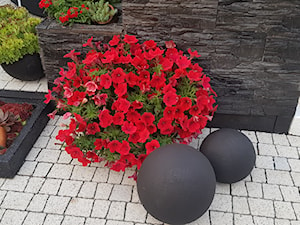 Dekoracje i ozdoby do ogrodu Kobea Ogrody i Bruki Produkcja i sprzedaż dekoracji ogrodowych Dekoracje i ozdoby do ogrodu -kule ogrodowe -kule betonowe - zdjęcie od Ewa Tyrna