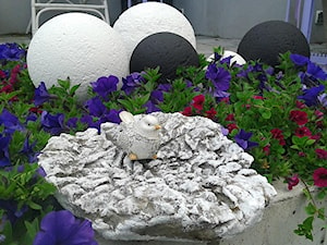 Dekoracje i ozdoby do ogrodu z betonu-Kobea Ogrody i Bruki - Ogród - zdjęcie od Ewa Tyrna