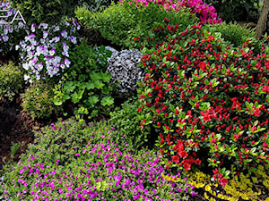 Dekoracje i ozdoby do ogrodu Kobea Ogrody i Bruki - zdjęcie od Ewa Tyrna