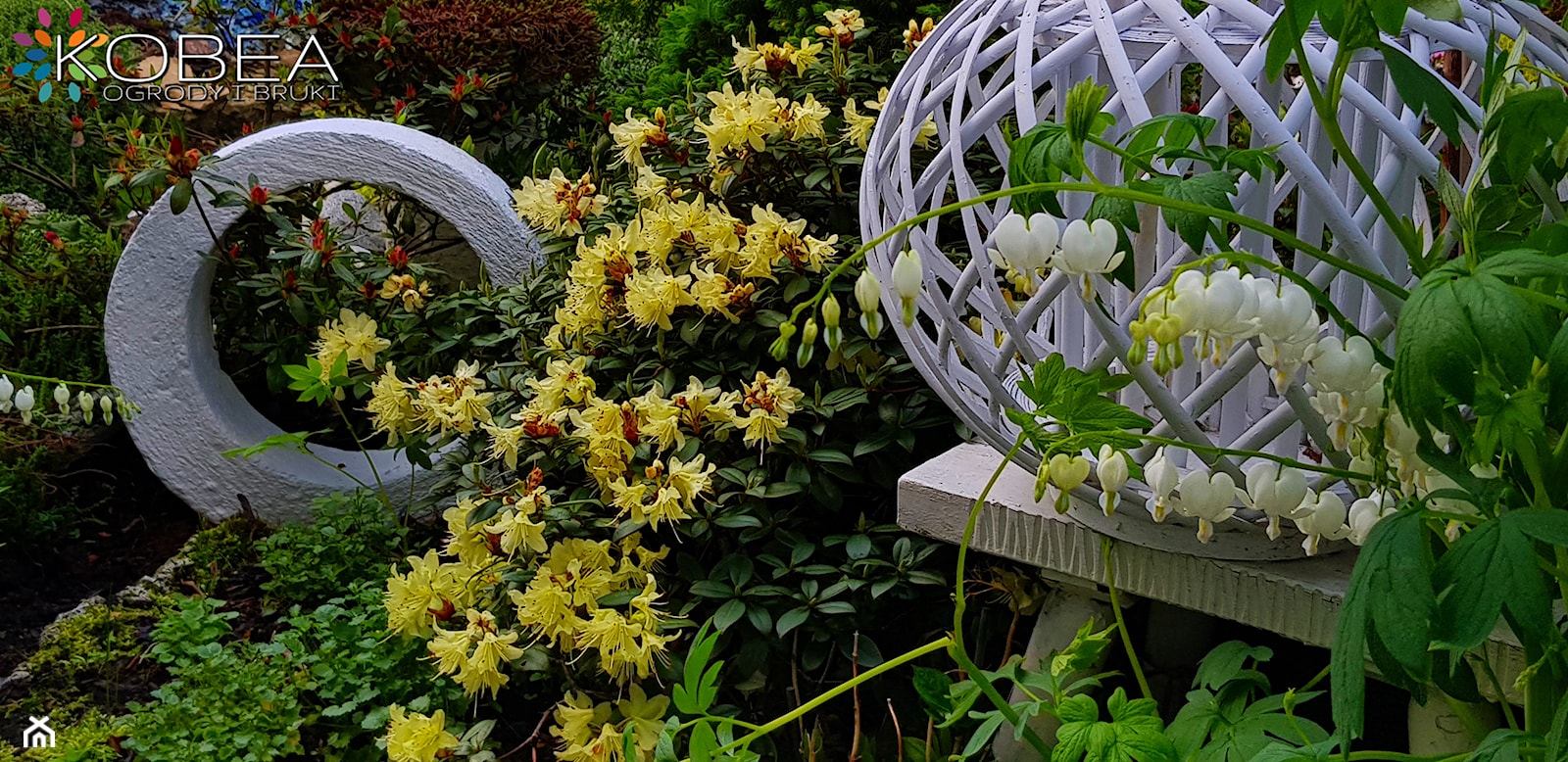 Dekoracje i ozdoby do ogrodu Kobea Ogrody i Bruki - zdjęcie od Ewa Tyrna - Homebook