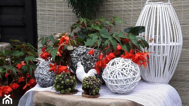 ozdoby dekoracyjne do ogrodu
 - zdjęcie od Ewa Tyrna