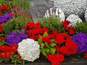 Dekoracje i ozdoby do ogrodu-taras -patio-balkon-Kobea Ogrody i Bruki - zdjęcie od Ewa Tyrna