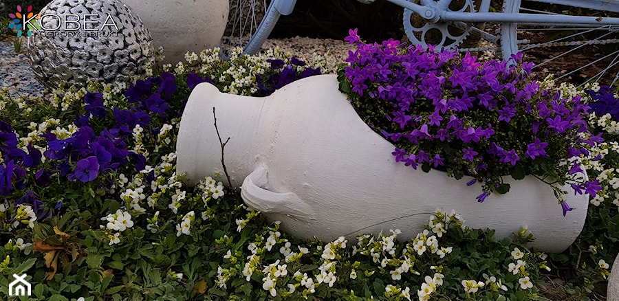 Dekoracje i ozdoby do ogrodu -Kobea Ogrody i Bruki - Ogród - zdjęcie od Ewa Tyrna