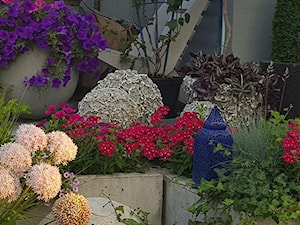 Dekoracje i ozdoby do ogrodu Kobea Ogrody i Bruki Produkcja i sprzeda - zdjęcie od Ewa Tyrna