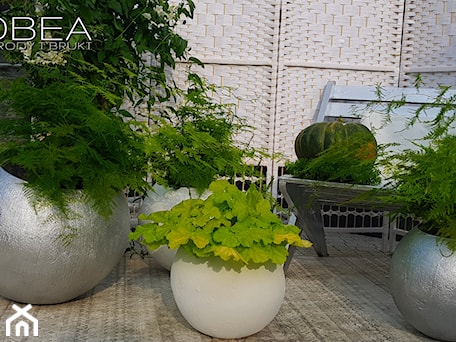 Aranżacje wnętrz - Ogród: Jesień w ogrodzie dekoracje i ozdoby do ogrodu Kobea Ogrody i Bruki -dekoracje i ozdoby do ogrodu balkon#taras#patio# #kobeaogrodyibruki#dekoracjedoogrodu#dekoracje#ozdoby#ogród#gardendecoration#garde - Ewa Tyrna. Przeglądaj, dodawaj i zapisuj najlepsze zdjęcia, pomysły i inspiracje designerskie. W bazie mamy już prawie milion fotografii!