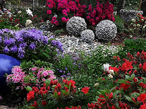 Dekoracje do ogrodu -Kobea Ogrody i Bruki - Ogród - zdjęcie od Ewa Tyrna