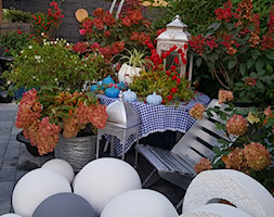 Jesień w ogrodzie dekoracje i ozdoby do ogrodu Kobea Ogrody i Bruki -dekoracje i ozdoby do ogrodu ba ... - zdjęcie od Ewa Tyrna - Homebook
