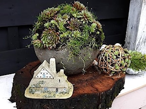 Inspiracje dekoracje z rojników do ogrodu - zdjęcie od Ewa Tyrna