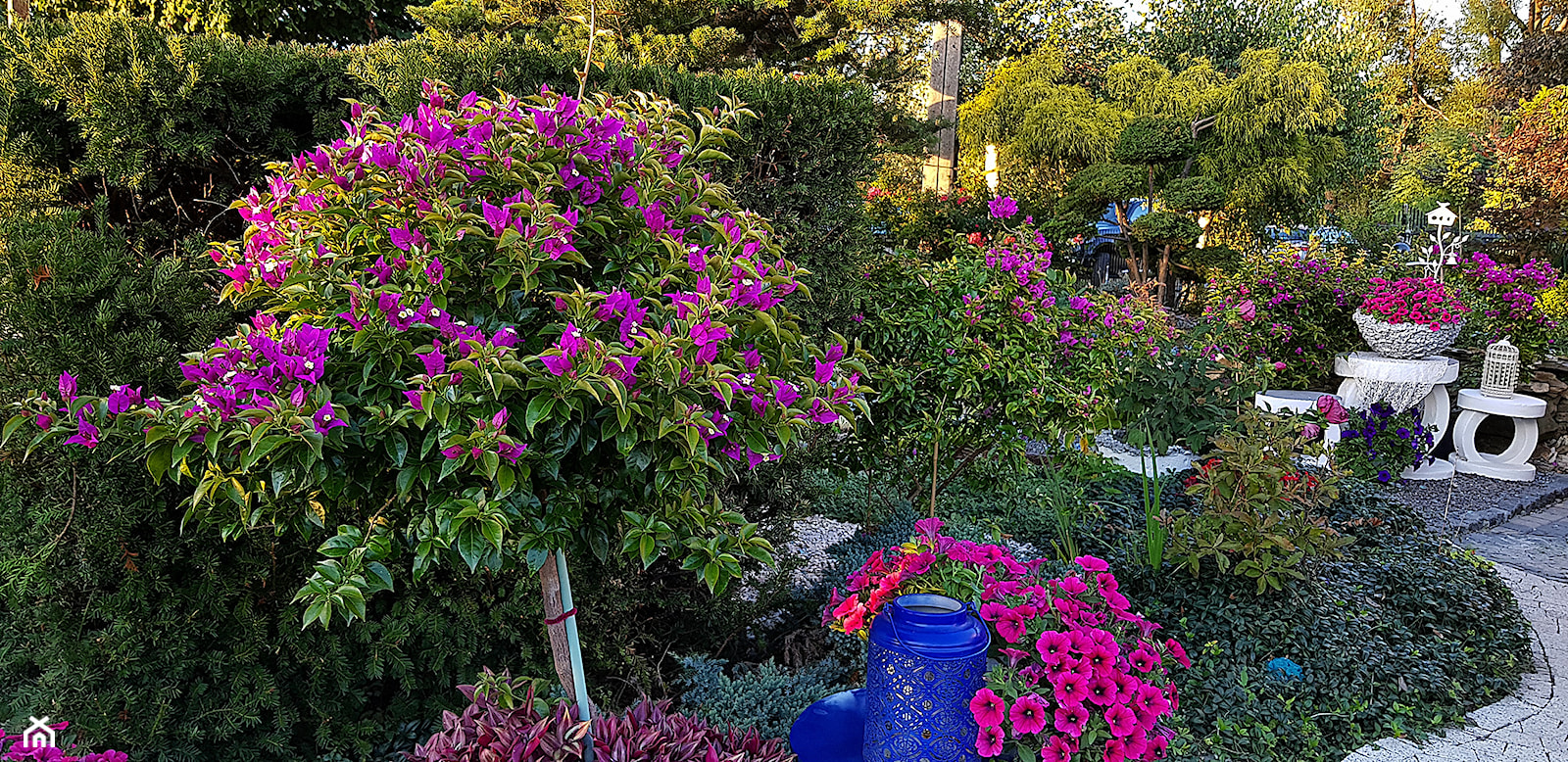 Jesienne dekoracje ozdoby do ogrodu -Kobea Ogrody i Bruki -produkcja i sprzedaż - zdjęcie od Ewa Tyrna - Homebook