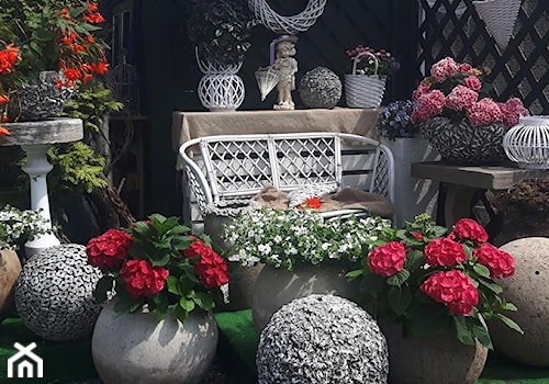 Dekoracje i ozdoby do ogrodu z betonu-Kobea Ogrody i Bruki - Mały ogród - zdjęcie od Ewa Tyrna