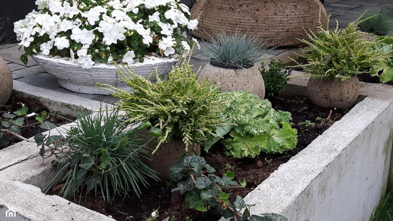 Dekoracje i ozdoby do ogrodu z betonu-Kobea Ogrody i Bruki - Ogród - zdjęcie od Ewa Tyrna - Homebook