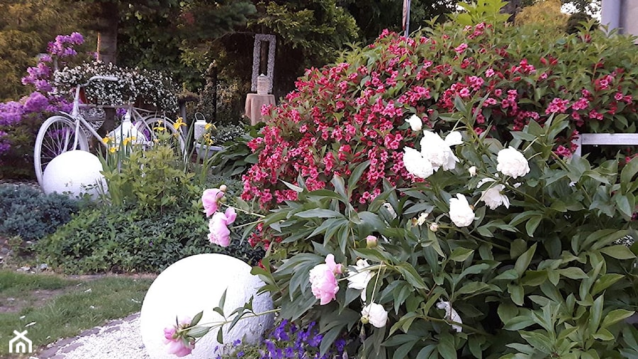 Dekoracje i ozdoby do ogrodu Kobea Ogrody i Bruki Produkcja i sprzedaż - zdjęcie od Ewa Tyrna