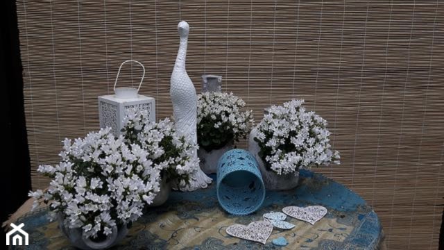 Dekoracje i ozdoby do ogrodu - zdjęcie od Ewa Tyrna - Homebook
