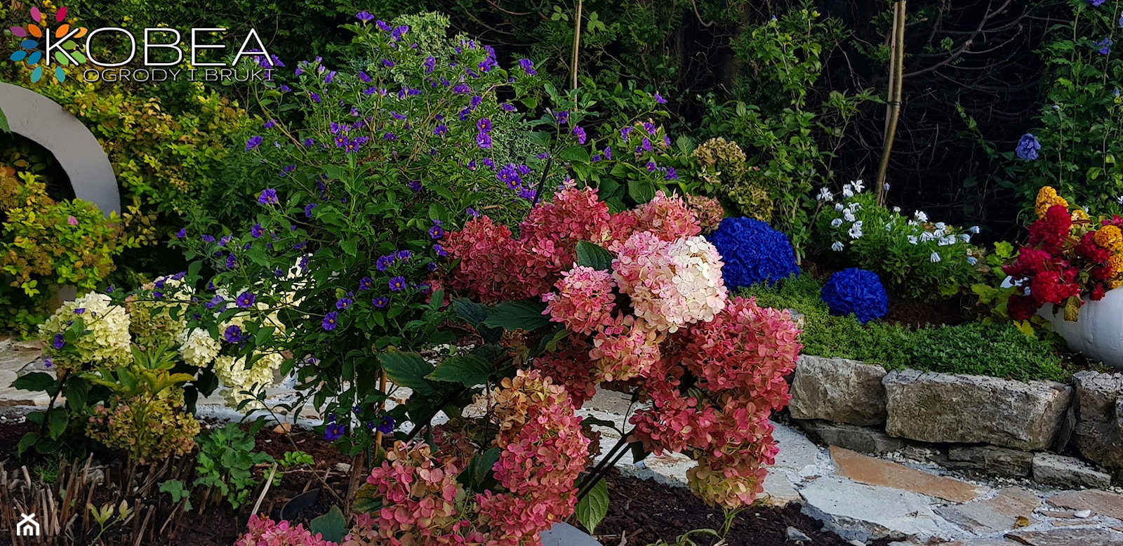 Ogrodowe inspiracje Kobea ogrody i bruki - Ogród - zdjęcie od Ewa Tyrna - Homebook